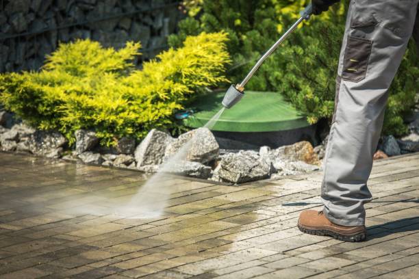 Best Pool Deck Cleaning  in Curwensville, PA
