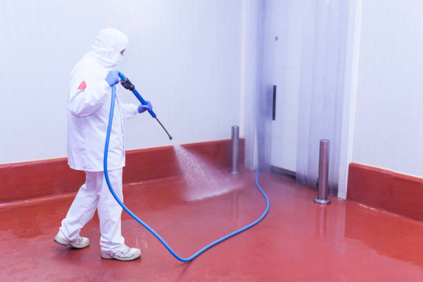Reliable Curwensville, PA Pressure Washing Services Solutions